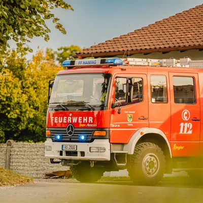 LF 8/6